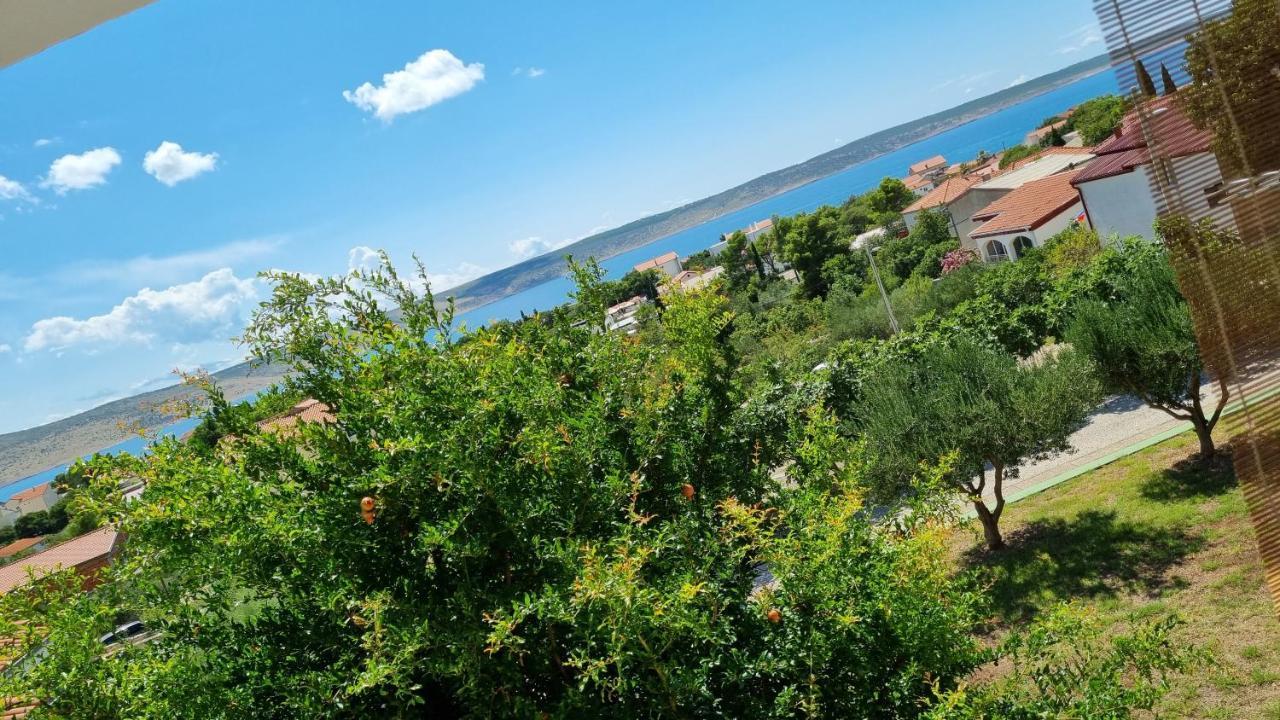 Arts Room Jasmina With Sea View Bikers And Pets Are Welcome Starigrad Paklenica Exterior photo