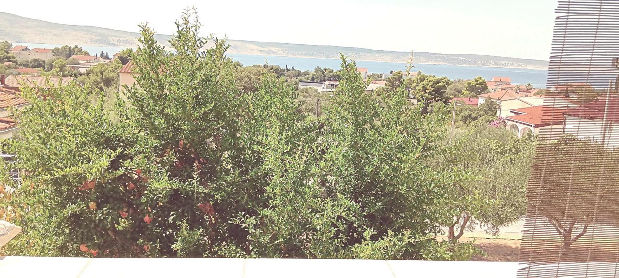 Arts Room Jasmina With Sea View Bikers And Pets Are Welcome Starigrad Paklenica Exterior photo